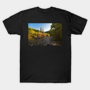 Boulder Colorado Canyon Creek Fall Foliage T-Shirt